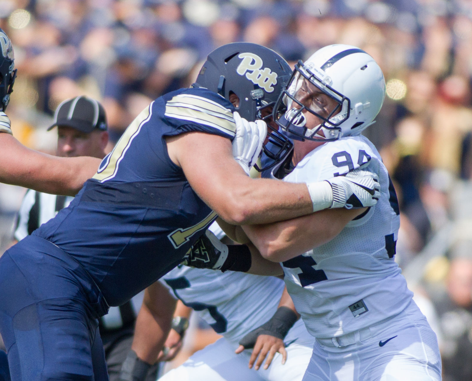 Pitt, Schwan (94)